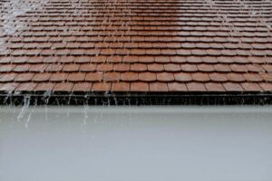 Gutter Cleaning