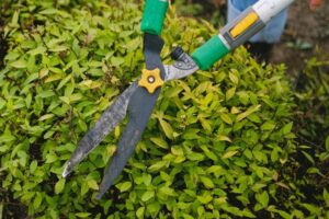 Trimming