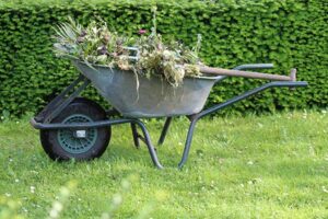Weed Pulling